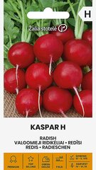 Valgomieji ridikėliai Kaspar H цена и информация | Семена овощей, ягод | pigu.lt