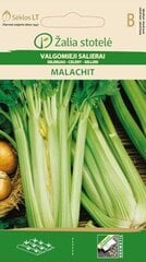 Valgomieji salierai Malachit цена и информация | Семена овощей, ягод | pigu.lt