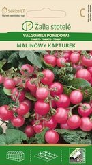 Valgomieji pomidorai Malinowy Kapturek цена и информация | Семена овощей, ягод | pigu.lt