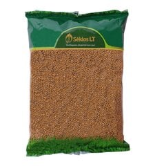 Garstyčios baltosios Braco, 4kg цена и информация | Газонные смеси | pigu.lt