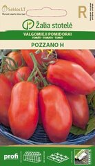 Valgomieji pomidorai Pozzano H kaina ir informacija | Daržovių, uogų sėklos | pigu.lt