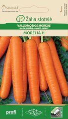 Morkos Valgomosios Morelia H цена и информация | Семена овощей, ягод | pigu.lt