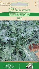 Kopūstai Garbanotieji Lapiniai Fizz цена и информация | Семена овощей, ягод | pigu.lt