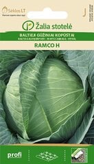 Kopūstai Baltieji Gūžiniai Ramco H цена и информация | Семена овощей, ягод | pigu.lt
