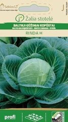Kopūstai Baltieji Gūžiniai Rinda H цена и информация | Семена овощей, ягод | pigu.lt