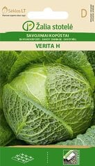 Kopūstai Savojiniai Verita H kaina ir informacija | Daržovių, uogų sėklos | pigu.lt