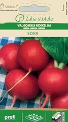 Пищевой редис Sora цена и информация | Семена овощей, ягод | pigu.lt