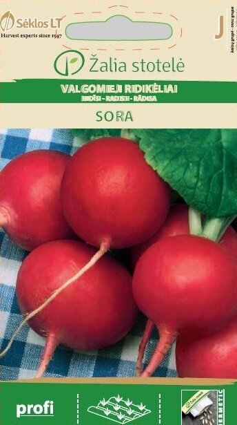 Valgomieji ridikėliai Sora kaina ir informacija | Daržovių, uogų sėklos | pigu.lt