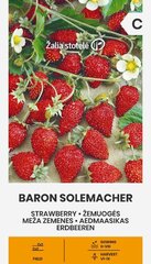 Žemuogės Baron Solemacher цена и информация | Семена овощей, ягод | pigu.lt