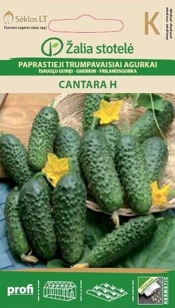Paprastieji trumpavaisiai agurkai Cantara H, 0.5 g цена и информация | Daržovių, uogų sėklos | pigu.lt