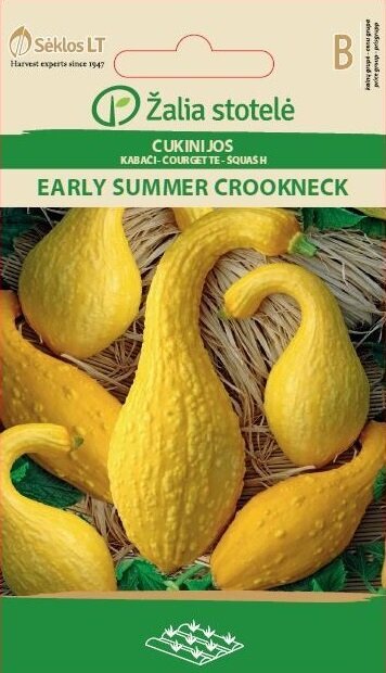 Cukinijos Early Summer Crookneck kaina ir informacija | Daržovių, uogų sėklos | pigu.lt