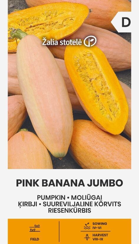 Moliūgai Pink Banana Jumbo kaina ir informacija | Daržovių, uogų sėklos | pigu.lt
