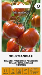 Valgomieji pomidorai Gourmandia H цена и информация | Семена овощей, ягод | pigu.lt