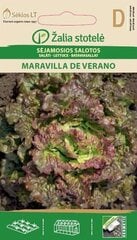 Sėjamosios salotos Maravilla De Verano цена и информация | Семена овощей, ягод | pigu.lt