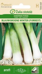 Daržiniai porai Blauwgroene Winter (Forrest) kaina ir informacija | Daržovių, uogų sėklos | pigu.lt