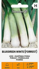 Daržiniai porai Blauwgroene Winter (Forrest) цена и информация | Семена овощей, ягод | pigu.lt