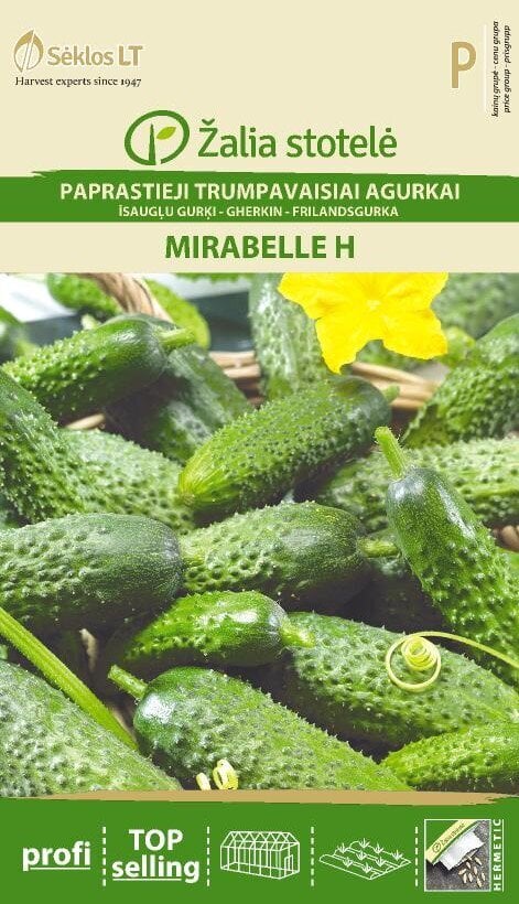 Paprastieji trumpavaisiai agurkai Mirabelle H kaina ir informacija | Daržovių, uogų sėklos | pigu.lt