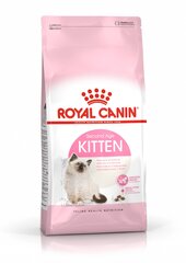 Royal Canin visavertis sausas subalansuotas kačių ėdalas, 2 kg kaina ir informacija | Sausas maistas katėms | pigu.lt