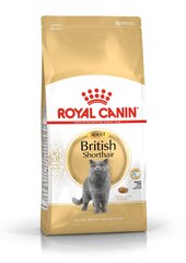 Royal Canin Fbn 2kg British Shorthair Katėms цена и информация | Сухой корм для кошек | pigu.lt
