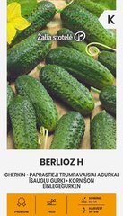 Paprastieji trumpavaisiai agurkai Berlioz H, 0.5 g цена и информация | Семена овощей, ягод | pigu.lt