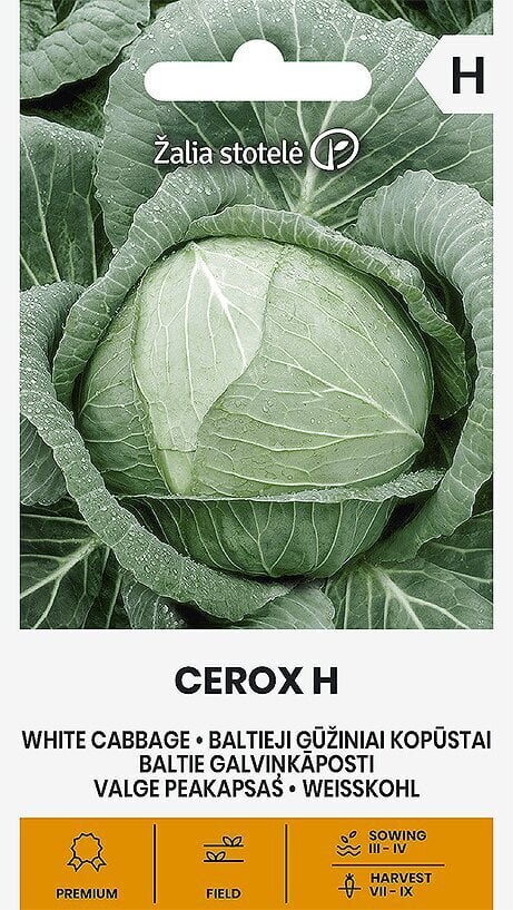 Baltieji Gūžiniai Kopūstai Cerox H kaina ir informacija | Daržovių, uogų sėklos | pigu.lt