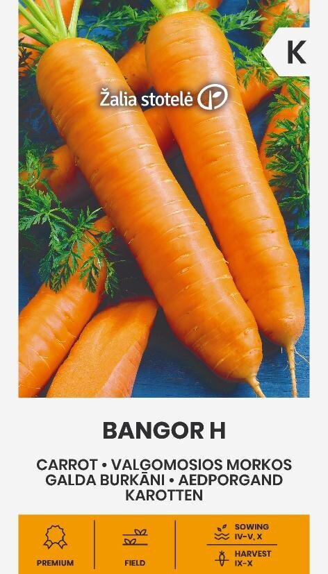 Morkos Valgomosios Bangor H kaina ir informacija | Daržovių, uogų sėklos | pigu.lt