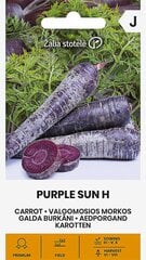 Morkos Valgomosios Purple Sun H kaina ir informacija | Daržovių, uogų sėklos | pigu.lt