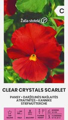 Darželinės našlaitės Clear Crystals Scarlet цена и информация | Семена цветов | pigu.lt