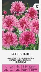 Rugiagėlės Rose Shade kaina ir informacija | Gėlių sėklos | pigu.lt