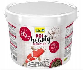 Maistas karpiams Tetra KOI Beauty Medium, 10 l kaina ir informacija | Maistas žuvims | pigu.lt