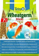 Корм для рыб в виде палочек Tetra Pond Wheatgerm Sticks, 7 л цена и информация | Корм для рыб | pigu.lt