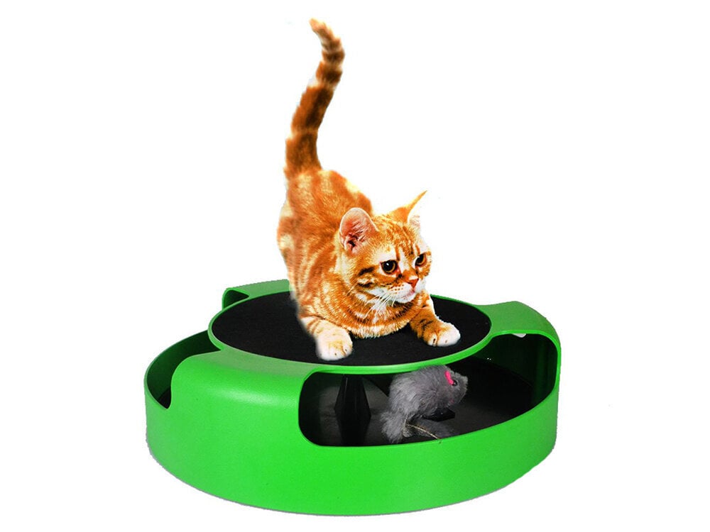 Katės Žaislas Pagauk Pelę kaina ir informacija | Žaislai katėms | pigu.lt