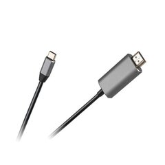 Kabelis HDMI - USB C, 1 m kaina ir informacija | Kabeliai ir laidai | pigu.lt