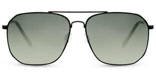 Солнцезащитные очки Label L2784 цена и информация | Солнцезащитные очки для мужчин | pigu.lt