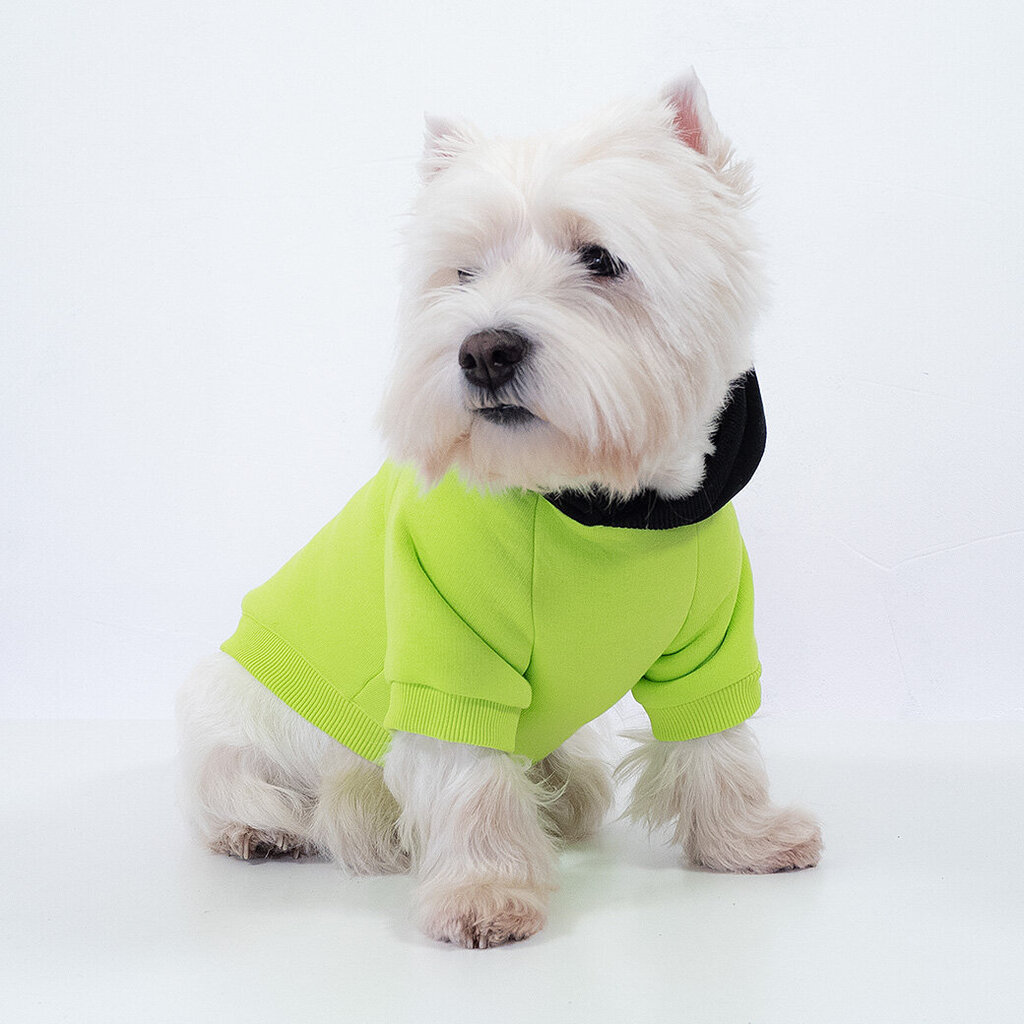 Šuns megztinis su gobtuvu, žalias kaina ir informacija | Drabužiai šunims | pigu.lt