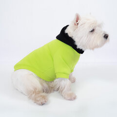 Šuns megztinis su gobtuvu, žalias kaina ir informacija | Drabužiai šunims | pigu.lt