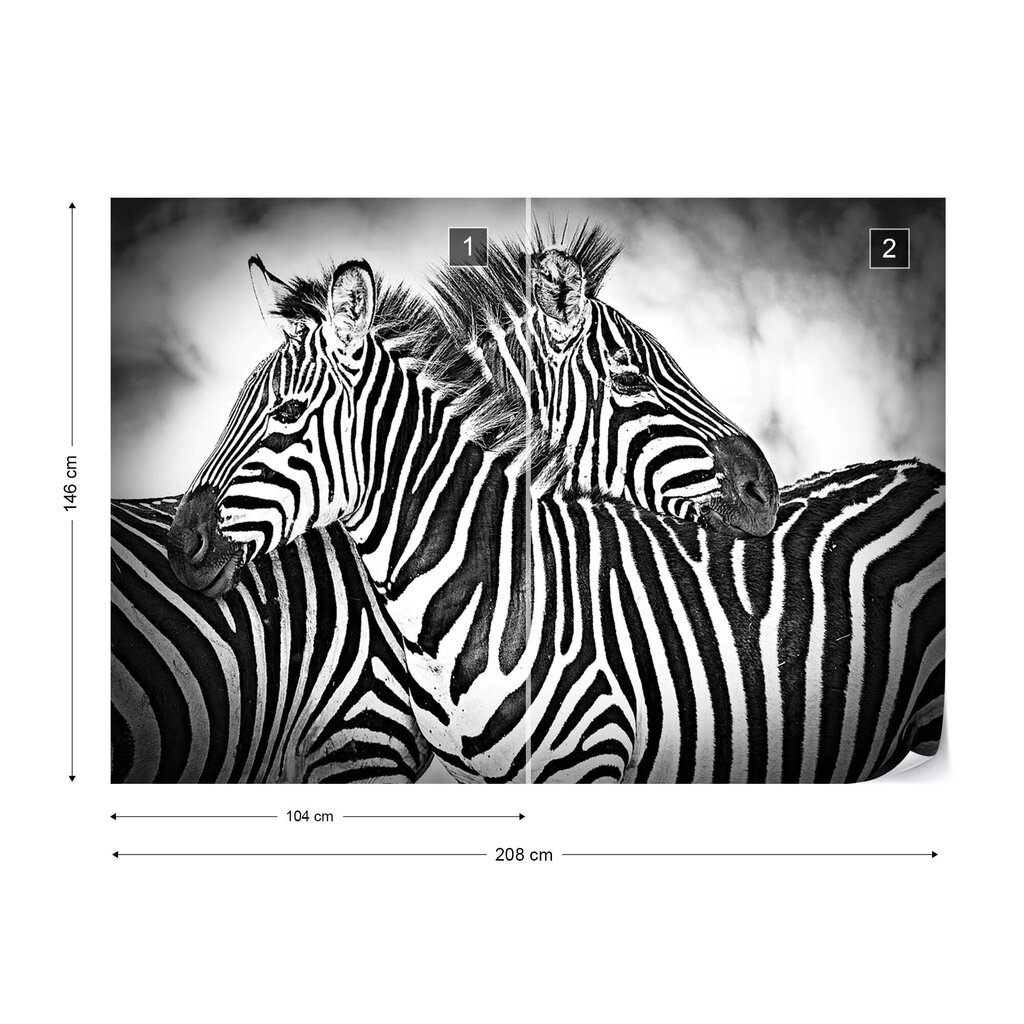 Fototapetas Zebrai, 208x146 cm kaina ir informacija | Fototapetai | pigu.lt