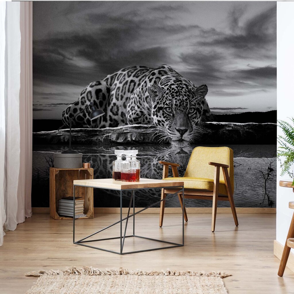 Fototapetas Leopardas juoda balta, 312x219 cm kaina ir informacija | Fototapetai | pigu.lt