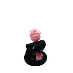 Роза в колбе S, Светло розовая (20 см выс. / 12,5 см шир.) цена и информация | Спящие стабилизированные розы, растения | pigu.lt