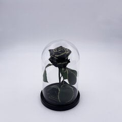Роза в колбе S, Черная Gold (20 см выс. / 12,5 см шир.) цена и информация | Спящие стабилизированные розы, растения | pigu.lt