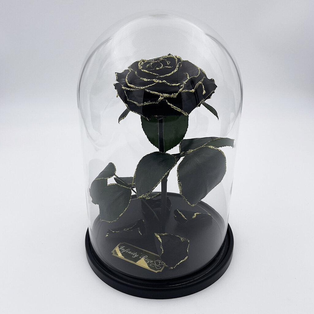 Rožė kolboje (mieganti rožė) L, Juoda Gold (30 cm aukščio / 19 cm pločio) kaina ir informacija | Miegančios rožės, stabilizuoti augalai | pigu.lt