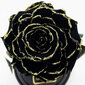 Rožė kolboje (mieganti rožė) L, Juoda Gold (30 cm aukščio / 19 cm pločio) kaina ir informacija | Miegančios rožės, stabilizuoti augalai | pigu.lt