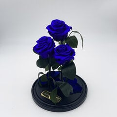 Роза в колбе Trinity, Фиолетовая (30 см выс. / 19 см шир.) цена и информация | Спящие стабилизированные розы, растения | pigu.lt