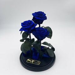Роза в колбе Trinity, Голубая (30 cм выс. / 19 cм шир.) цена и информация | Спящие стабилизированные розы, растения | pigu.lt