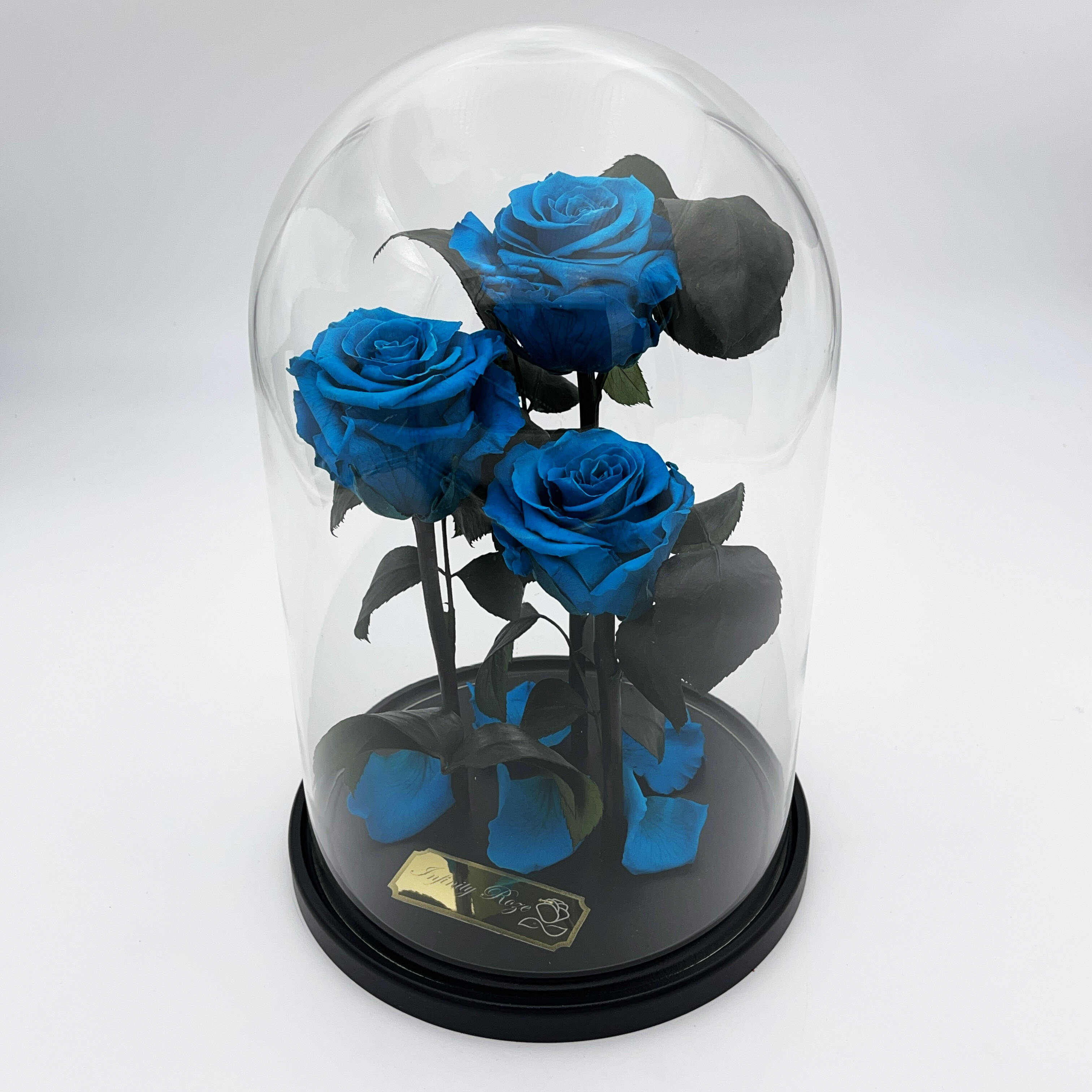 Rožė kolboje (mieganti rožė) Trinity, Tiffany (30 cm aukščio / 19 cm  pločio) kaina | pigu.lt