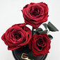 Rožė kolboje (mieganti rožė) Trinity, Bordo (30 cm aukščio / 19 cm pločio) цена и информация | Miegančios rožės, stabilizuoti augalai | pigu.lt