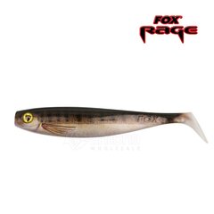 Masalas Fox Rage Pro Shad Natural II SN цена и информация | Воблеры, приманки, блесны | pigu.lt