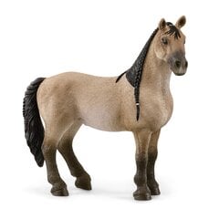 SCHLEICH HORSE CLUB Кобыла креольской породы цена и информация | Игрушки для девочек | pigu.lt