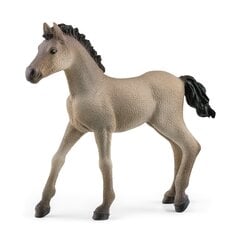 Kreolų veislės kumeliukas Schleich Horse Club kaina ir informacija | Žaislai mergaitėms | pigu.lt