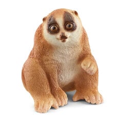 Lėtasis loris Schleich Wild Life, 1 vnt. kaina ir informacija | Žaislai mergaitėms | pigu.lt